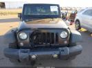 Jeep Wrangler Black Bear Image 9
