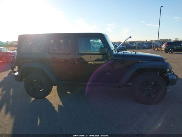 Jeep Wrangler Black Bear Image 8