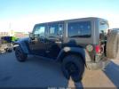 Jeep Wrangler Black Bear Image 11
