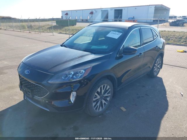 Ford Escape Titanium Image 11