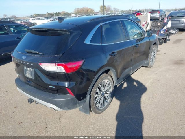 Ford Escape Titanium Image 7