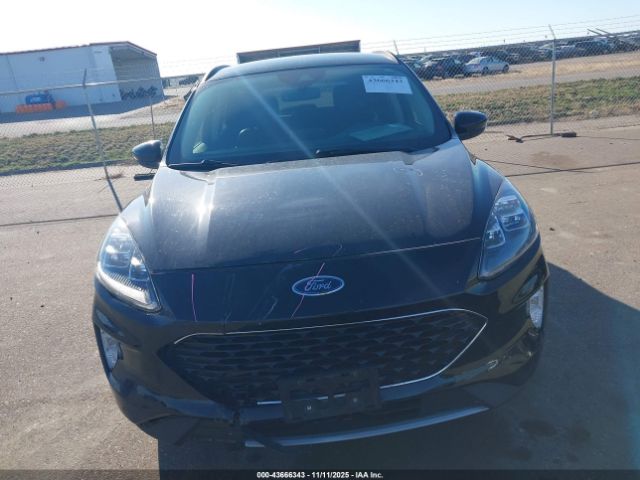 Ford Escape Titanium Image 5