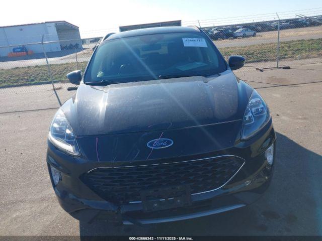 Ford Escape Titanium Image 5