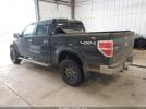 Ford F-150 Lariat Image 11