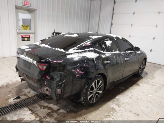 Nissan Maxima Sv Xtronic Cvt Image 7