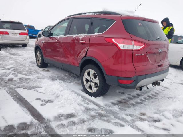 Ford Escape Se Image 12