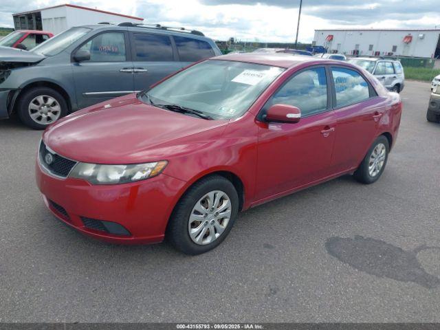 Kia Forte Ex Image 3