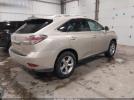 Lexus RX Image 8