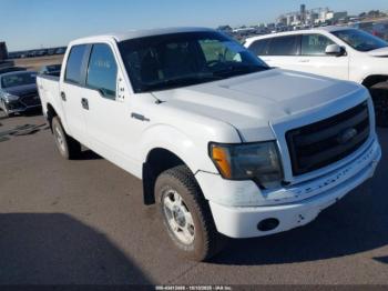  Salvage Ford F-150