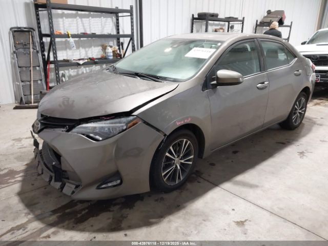 Toyota Corolla Le Image 7