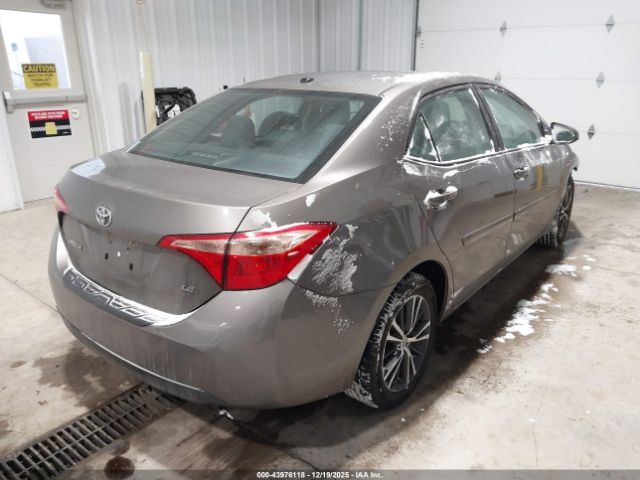 Toyota Corolla Le Image 2