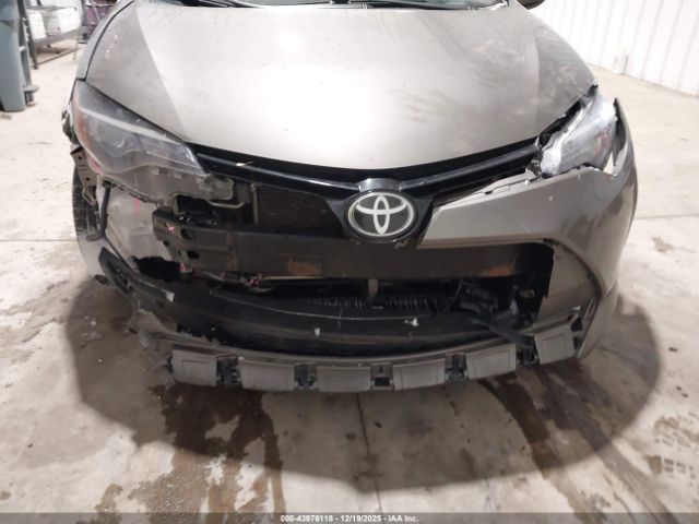 Toyota Corolla Le Image 18