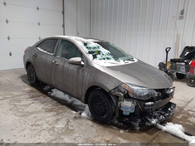 Toyota Corolla Le Image 1