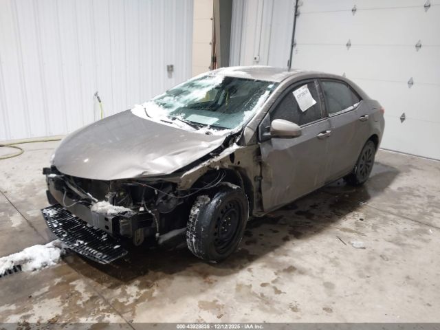 Toyota Corolla Le Image 6