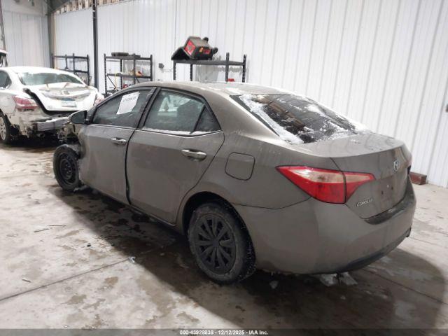 Toyota Corolla Le Image 5