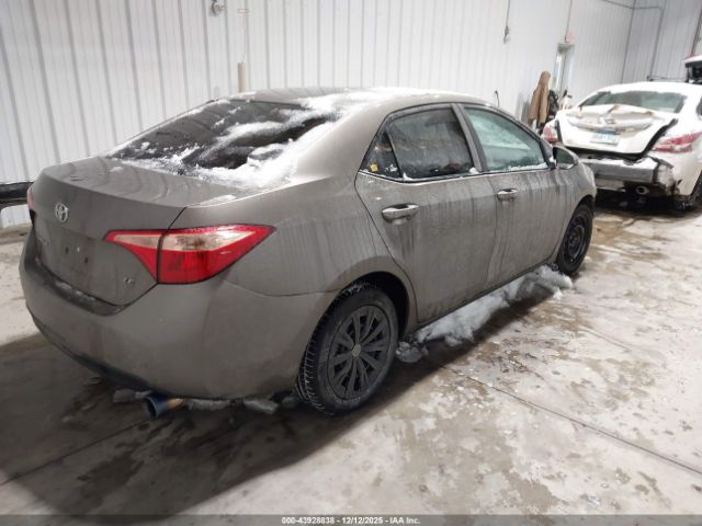 Toyota Corolla Le Image 16