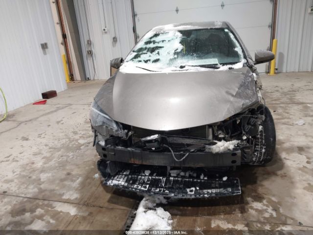 Toyota Corolla Le Image 9