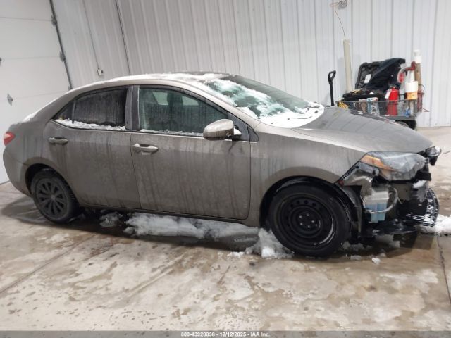 Toyota Corolla Le Image 11