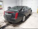 Cadillac XTS Luxury Collection Image 7