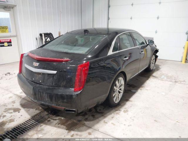 Cadillac XTS Luxury Collection Image 7