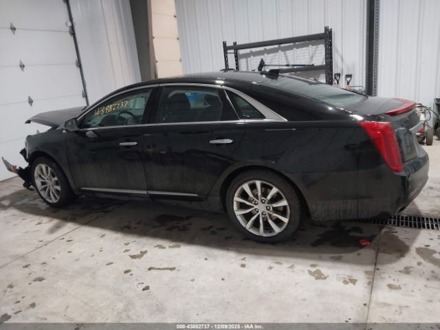 Cadillac XTS Luxury Collection Image 11