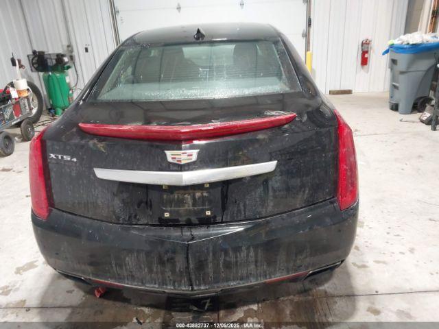 Cadillac XTS Luxury Collection Image 12